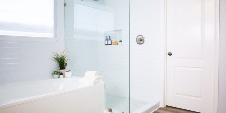 Best Shower Remodel Ideas This Season