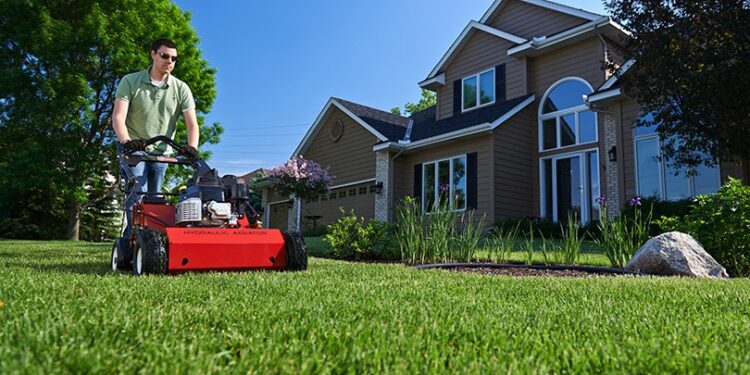 How Often Should I Aerate My Lawn